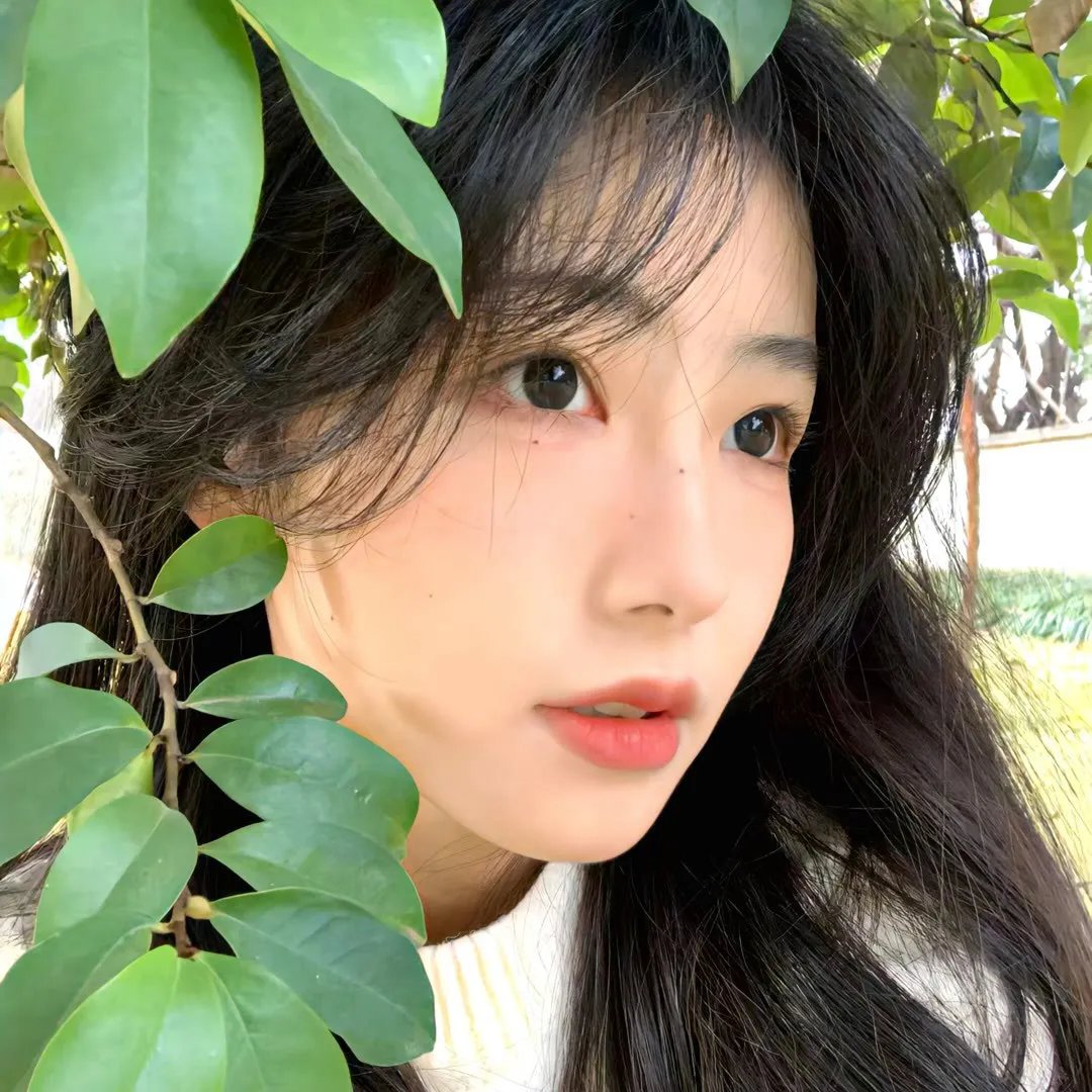 姑娘十八岁